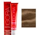 Igora Royal 7-57 Medium Blonde Gold Copper - Schwarzkopf Color - 2.10oz