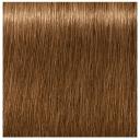 Igora Royal Absolutes 7-450 Medium Blonde Gold | cosmeticworld.ca