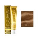 Igora Royal Absolutes 7-450 Medium Blonde Gold | cosmeticworld.ca