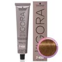 Igora Royal Absolutes 7-450 Medium Blonde Gold | cosmeticworld.ca