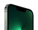 iPhone 13 Pro Max 1TB Alpine Green