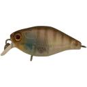 Jackall Chubby 38F Mr Ghost Ayu