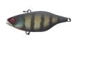 Jackall Lures TN60 Lipless Crankbait Black King Gill