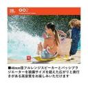 JBL Speaker Go2 Minispeaker Grey Portable Wireless Bluetooth Speaker 3 Watt