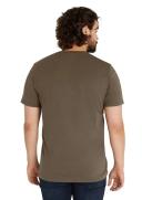 Johnny Bigg Essential Crew Neck Tee in Chocolate 7XL