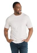 Johnny Bigg Essential Crew Neck Tee in Ivory 8XL
