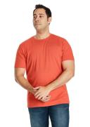 Johnny Bigg Essential V-Neck Tee in Tangerine Sunset 8XL