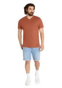 Johnny Bigg Essential V-Neck Tee in Tangerine Sunset 9XL