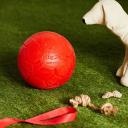 Jolly Pets 4.5-Inch Push-n-Play, Red