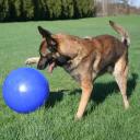 Jolly Pets Push-N-Play Dog Toy, 25 cm, Red