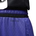 Jordan Diamond Shorts - Lapis/Black - XL