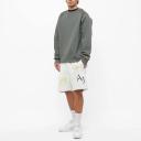 Jordan Sport DNA Fleece Short