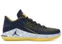 Jordan XXXII Low Michigan