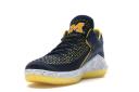 Jordan XXXII Low Michigan