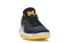 Jordan XXXII Low Michigan