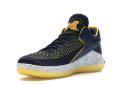 Jordan XXXII Low Michigan