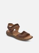 Josef Seibel Womens Debra 19 Sling Back Sandals