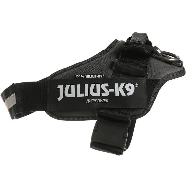 Julius-K9, 16IDC-ANT-1, IDC-Powerharness, Size: 1, Anthracite