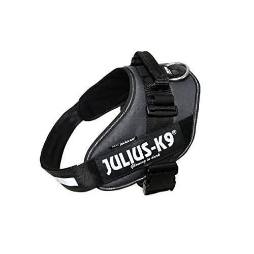 Julius-K9, 16IDC-ANT-2, IDC-Powerharness, Size: 2, Anthracite