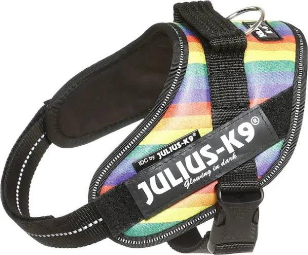 Julius-K9, 16IDC-JRBW-M, IDC-Powerharness, Size: Mini, Rainbow