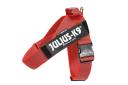 Julius-K9, IDC Color & Gray Belt Harness, Size: XL / 2, red-gray