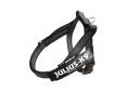 Julius-K9, IDC Color & Gray Belt Harness, Size: XL / 2, red-gray