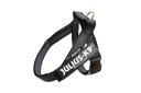 Julius-K9, IDC Color & Gray Belt Harness, Size: XL / 2, red-gray