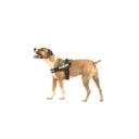 Julius-K9 IDC Powerharness Camouflage / Size 1
