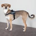 Julius-K9 Powerharness, Size 2, Anthracite