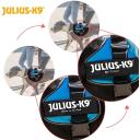 Julius-K9 Powerharness, Size 2, Anthracite