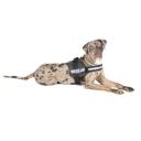 Julius-K9 Powerharness, Size 2, Anthracite