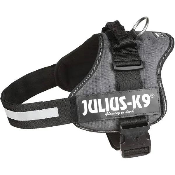 Julius-K9 Powerharness, Size 2, Anthracite