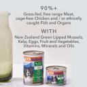 K9 Natural Canned Lamb & Salmon Wet Dog Food