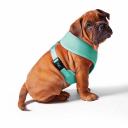 Kazoo Classic Soft Walking Harness Mint XS