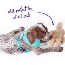 Kazoo Classic Soft Walking Harness Mint XS