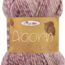 King Cole Acorn Aran - 4955 Holly Berries