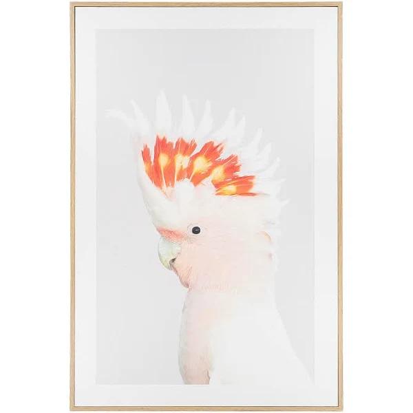 Kmart Cockatoo Framed Canvas