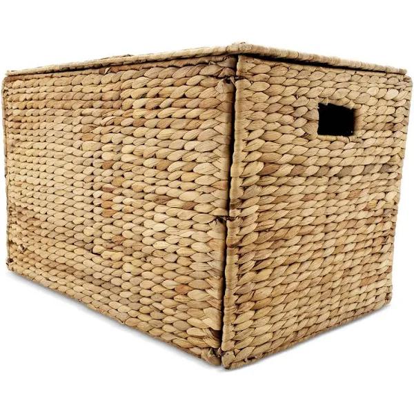 Kmart Collapsible Trunk