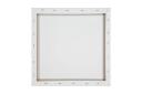 Kmart Colouring Canvas-Protea