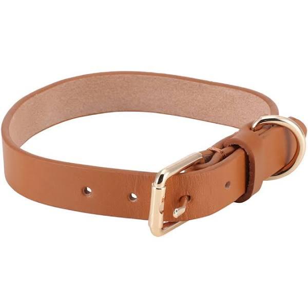 Kmart Dog Collar Leather-Small