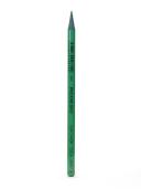 Koh-I-Noor Progresso Coloured Pencil Dark Green
