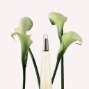 L'Eau D'Issey for Women Eau De Parfum Spray 75 ml *Tester by Issey Miyake