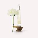 L'Eau D'Issey for Women Eau De Parfum Spray 75 ml *Tester by Issey Miyake
