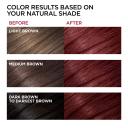 L'Oreal Paris Superior Preference Fade-Defying Color 4R Dark Auburn Warmer