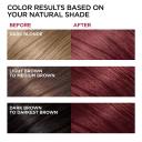 L'Oreal Paris Superior Preference Fade-Defying Shine Permanent Hair