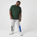 Lacoste - Slim Fit Polo in Green