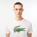 Lacoste Th2042-00 Short Sleeve T-Shirt White M Man TH2042-737-4