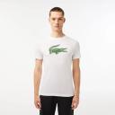 Lacoste Th2042-00 Short Sleeve T-Shirt White M Man TH2042-737-4