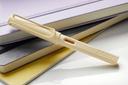 Lamy Safari Fountain Pen - 2022 Cozy Special Edition - Cozy Cream, Fine Nib