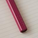 Lamy Safari Fountain Pen - Pink - Fine